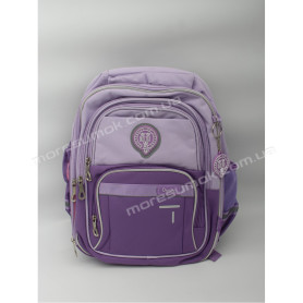 Шкільні ранці N2501-32 purple Шкільні ранці N2501-32 purple