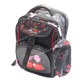 Школьные рюкзаки 3168 black-a