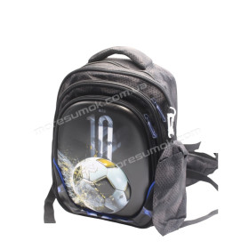 Школьные рюкзаки 3162 black-e