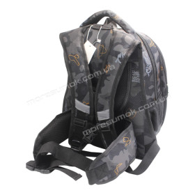 Школьные рюкзаки 3167 black-e