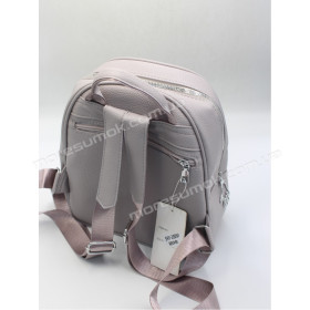 Женские рюкзаки SHY-2809 gray