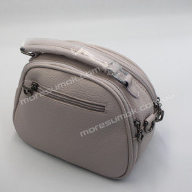 Сумки кросс-боди AY-795 light purple Сумки кросс-боди AY-795 light purple