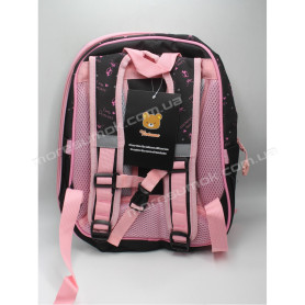 Шкільні ранці D-10 black Шкільні ранці D-10 black