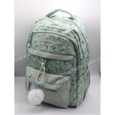 Спортивні рюкзаки 38008 green