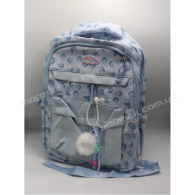 Спортивні рюкзаки 38008 light blue Спортивні рюкзаки 38008 light blue