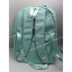 Спортивні рюкзаки 38001 light green