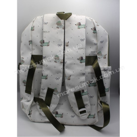 Спортивні рюкзаки XYL18003 green Спортивні рюкзаки XYL18003 green