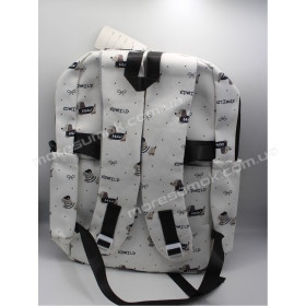Спортивні рюкзаки XYL18003 black