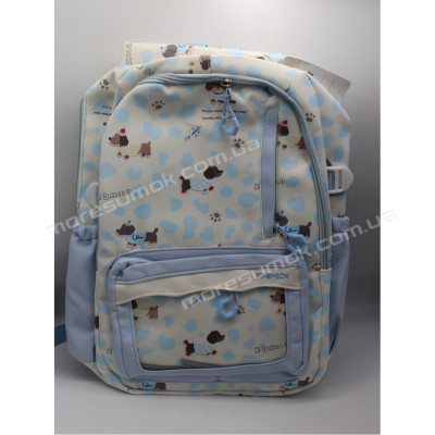 Спортивні рюкзаки XYL18001 light blue