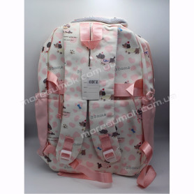 Спортивні рюкзаки XYL18001 pink Спортивні рюкзаки XYL18001 pink