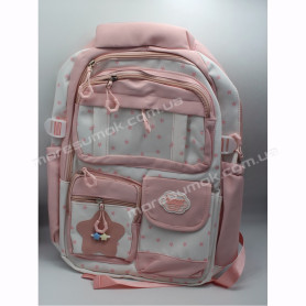 Спортивні рюкзаки XYL18005 pink Спортивні рюкзаки XYL18005 pink