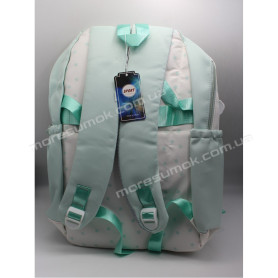 Спортивні рюкзаки XYL18005 light green