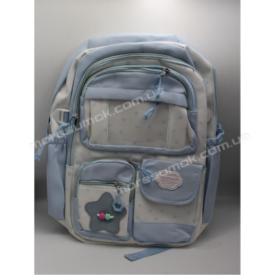 Спортивні рюкзаки XYL18005 light blue
