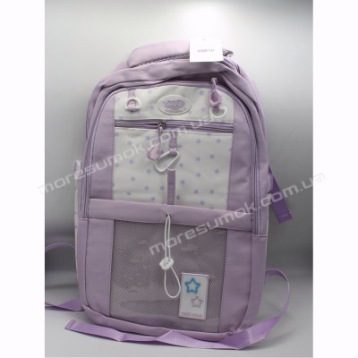 Спортивні рюкзаки XYL18002 purple