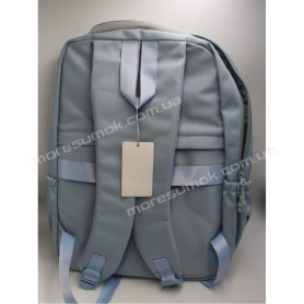 Спортивні рюкзаки N-8806 light blue Спортивні рюкзаки N-8806 light blue