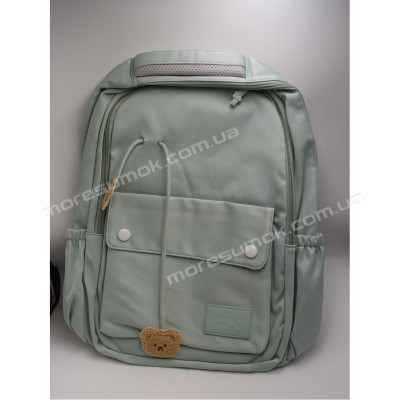 Спортивні рюкзаки N-8806 light green