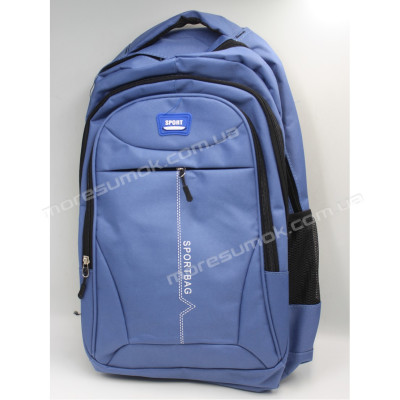 Спортивні рюкзаки 1906 light blue