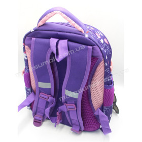 Шкільні ранці 2501 purple