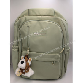 Спортивні рюкзаки 2553 green