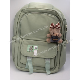 Спортивні рюкзаки 2556 green