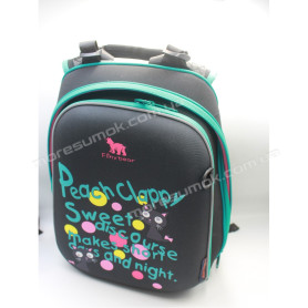 Школьные рюкзаки FB102-2 black-green