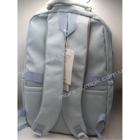 Спортивные рюкзаки TX-3379 light blue