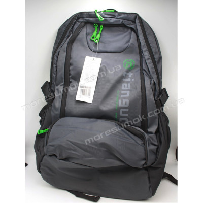 Спортивні рюкзаки 003 gray