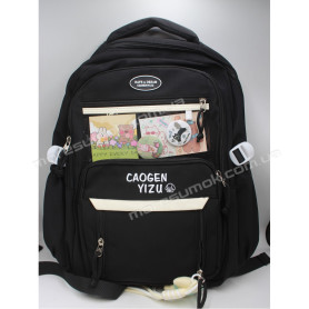 Спортивные рюкзаки CG026 black Спортивные рюкзаки CG026 black