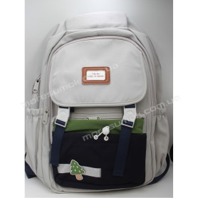 Спортивні рюкзаки 8038 gray Спортивні рюкзаки 8038 gray