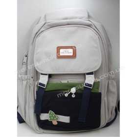 Спортивные рюкзаки 8038 gray