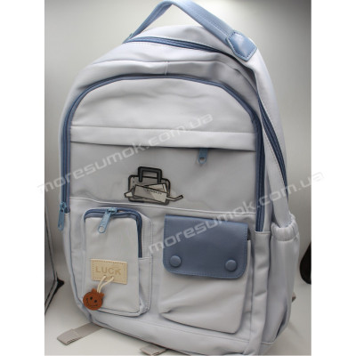 Спортивні рюкзаки S308 light blue