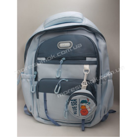 Спортивні рюкзаки N-6168 light blue Спортивні рюкзаки N-6168 light blue