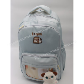 Спортивные рюкзаки 2085 light blue Спортивные рюкзаки 2085 light blue