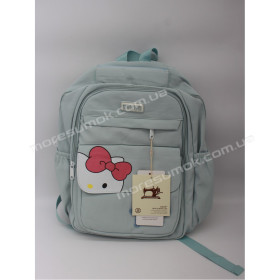 Спортивні рюкзаки 2651 light blue