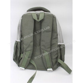 Спортивні рюкзаки 2531 green