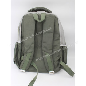 Спортивні рюкзаки 2531 green