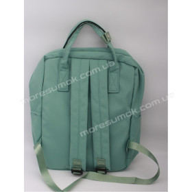 Спортивні рюкзаки 0120 light green