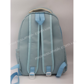 Спортивные рюкзаки 686-1 Ni light blue-a