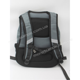 Спортивные рюкзаки 8340 Ad gray-white-a
