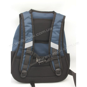 Спортивные рюкзаки 8340 Ad blue
