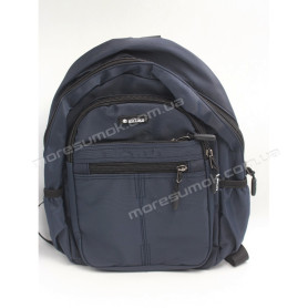 Спортивні рюкзаки 45003 blue Спортивні рюкзаки 45003 blue