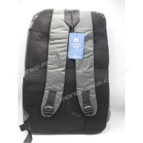 Спортивні рюкзаки 25518 gray