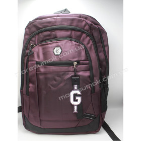 Спортивні рюкзаки FJF-3211 purple