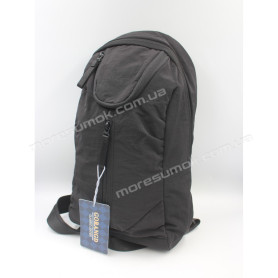 Спортивные рюкзаки 20840 black