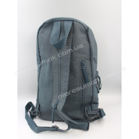 Спортивные рюкзаки 20840 blue